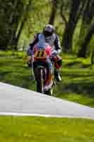 Advanced Group Red Bikes